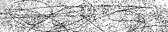 Verification Image