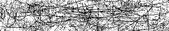 Verification Image