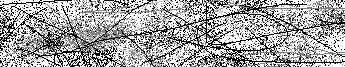 Verification Image