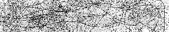 Verification Image